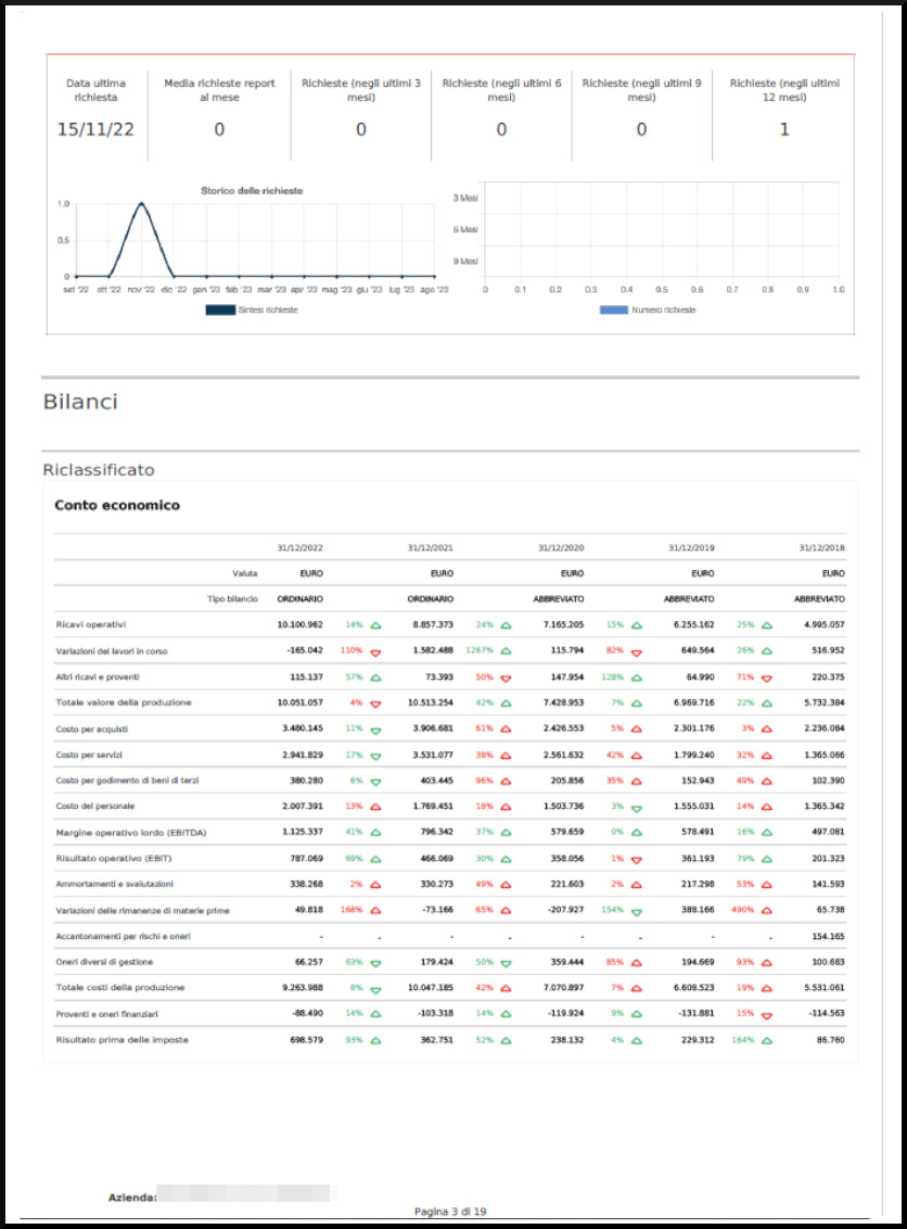 Company report 