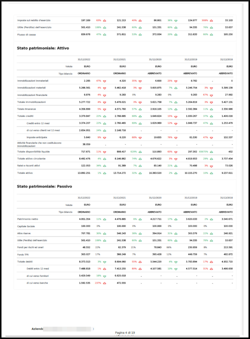 Company report 